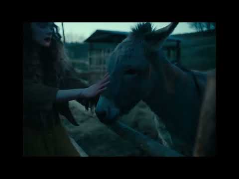 Trailer de EO (IO) subtitulado en español (HD)