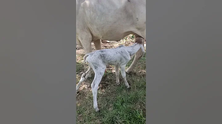 #music #beach #love #travel #edm #djmix #nature #beautiful #makeup #automobile #animals #travel