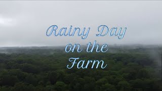 Rainy Day on the Farm