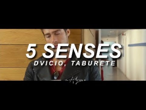 5 SENTIDOS || 5 SENSES Dvicio, Taburete (Lyric Video In English) ♡
