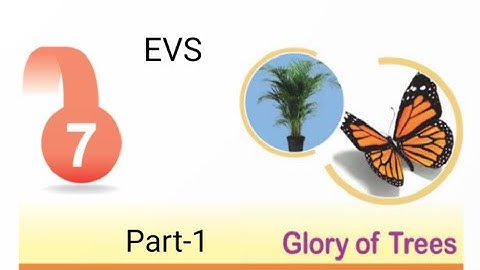 Glory of Trees/ Part-1/ Class-5/EVS/ Chapter-7/ RBSE/CBSE