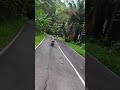 nuansa alam yg masih sejuk di pedesaan #cinematik #pemandangan