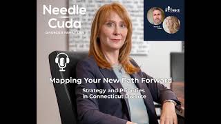 \\\"Strategy and Priorities\\\" in CT Divorce (Part 1); Lawyer Melissa Needle - Episode 4 - DDS Podcast