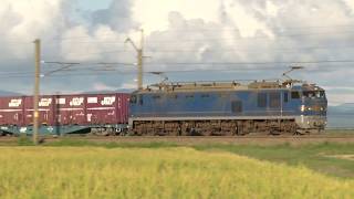 羽越本線を走る貨物列車 EF510 EF81 2014年9月撮影