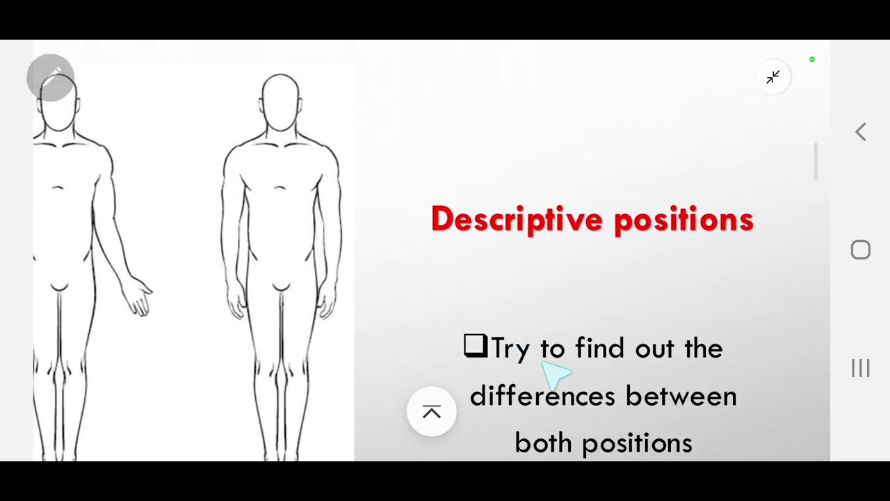 Anatomy- Descriptive terminology for physiotherapy students- مصطلحات الوصف التشريحي
