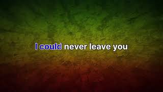 Don’t Tread on Me - 311 karaoke