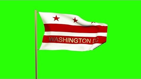 Washington DC Flag With Title Waving In The Wind. Looping Sun Rises Style. Anima Stock Animation