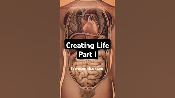 Creating Life Part I 🧬 Laszlo Cravensworth 🦇 What We Do in he Shadows #shorts #funny  #comedy