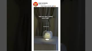 Cam Kap Içinde Gibi