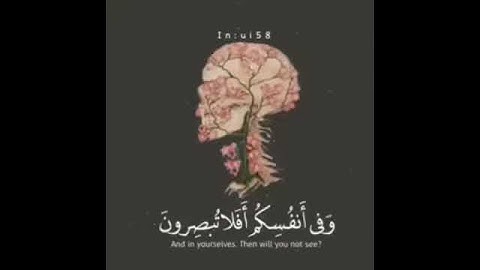 وفي انفسكم افلا تبصرون،، تلاوه جميلة