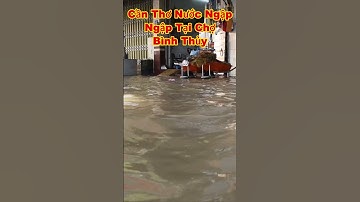 CẦN THƠ NƯỚC NGẬP 440 #shorts