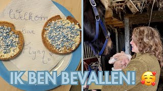 Rauw POST PARTUM beelden - Life as Esmé 