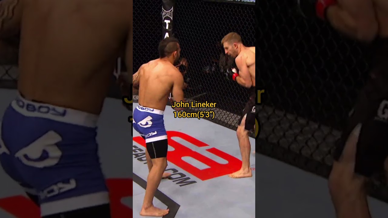 The Shortest UFC Fighters.