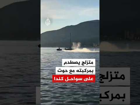 متزلج يصطدم بمركبته مع حوت رمادي على سواحل فانكوفر