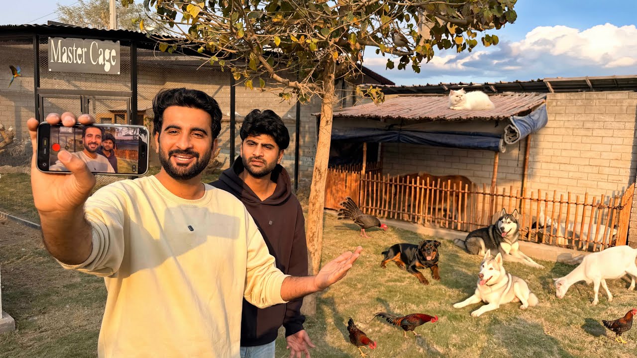 Welcome Back To Our Mini Zoo 😍