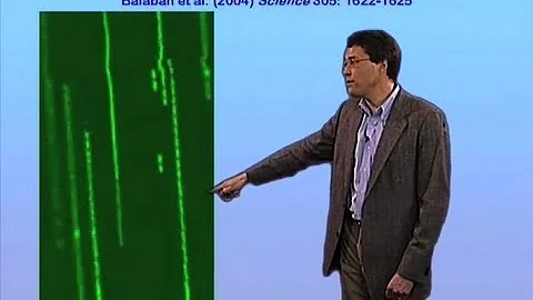 Drug-tolerant E. coli persisters - John McKinney (EPFL)