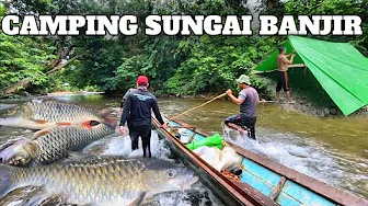 Camping Hujan Deras 3 Hari sungai Banjir Cuaca Exstrem Bermalam di hutan Fishing Adventure and Cook
