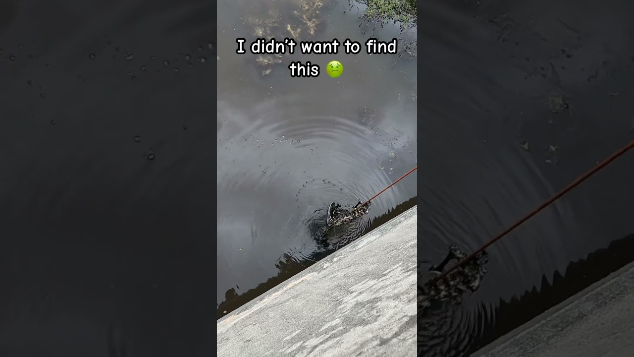 My worst nightmare came true 