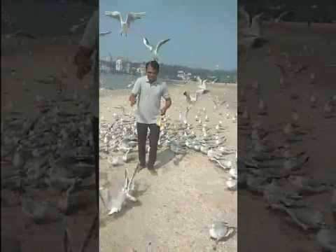 bhaiya-tere-angana-ki.-......