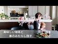 暮らしのvlog ｜夫婦二人暮らし｜美味しい珈琲と春のみたらし団子｜50代主婦vlog ｜犬がいる暮らし