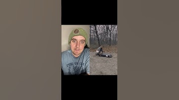 Bobcat Catch & Release! #predators #bobcat #trapping