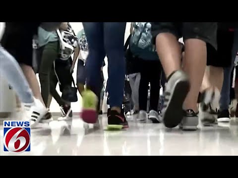 Florida Department of Education set to approve pronoun, bathroom policies