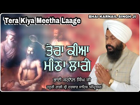 Tera Kiya Meetha Laage || Bhai Karnail Singh Ji Hazuri Ragi Sri Darbar Sahib || New Video