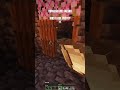 O que foi que eu bebi? #minecraft #minecraftshorts