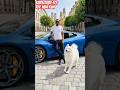 🥶Samoyed Dog Lover Says Subscribe🤲💯👌#viral #shorts #trending #ai