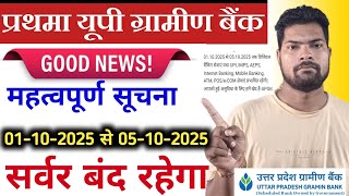 DHEERAJ UPGBANK Is Live Now Prathama up Bank server manager new update | Prathama up Bank new update