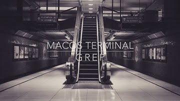 macOS Terminal - grep