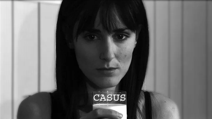 Casus (2006) (Anthony Stadler)