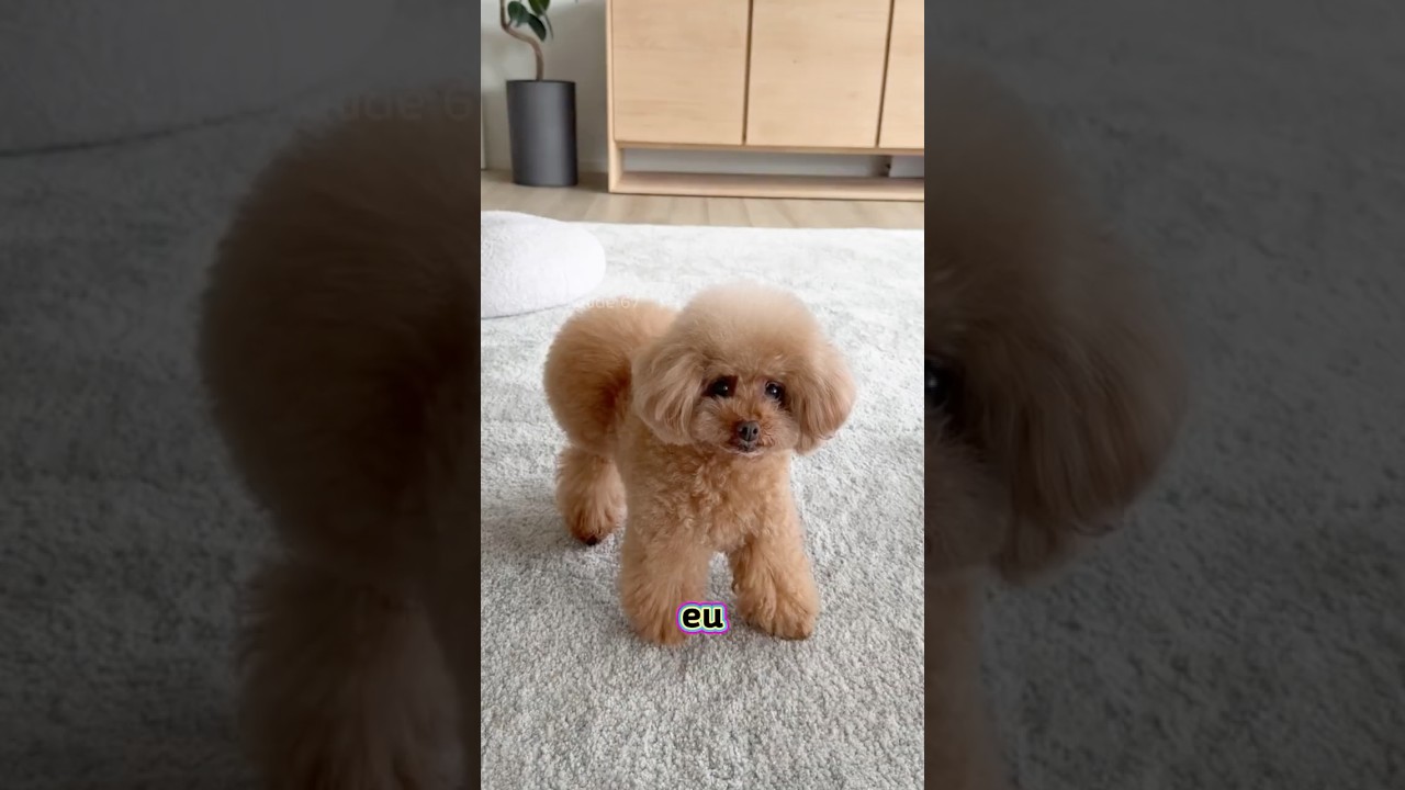 ELA FICOU COM CIUMES DA MAMÃE! 🐶❤️