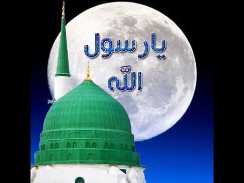 مولاى صل وسلم دائما أبدا ماهر زين 