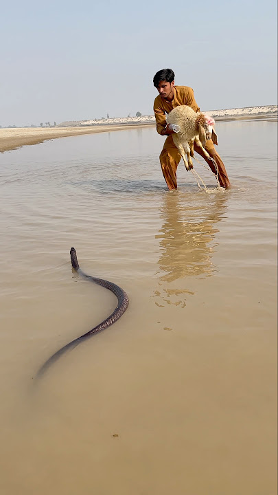 Download lagu Nag sya bchaya