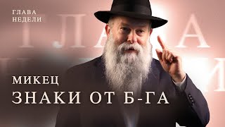 На что обращать внимание? Глава недели Микец | Рав. Шмуэль Каминецкий