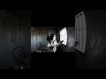 #applehealth "Monkey in Jail – The Realistic Video Adventure #poppyplaytime #animation #funny #cat