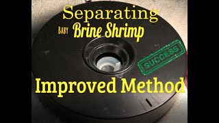 Separating Brine Shrimp  IMPROVED METHOD