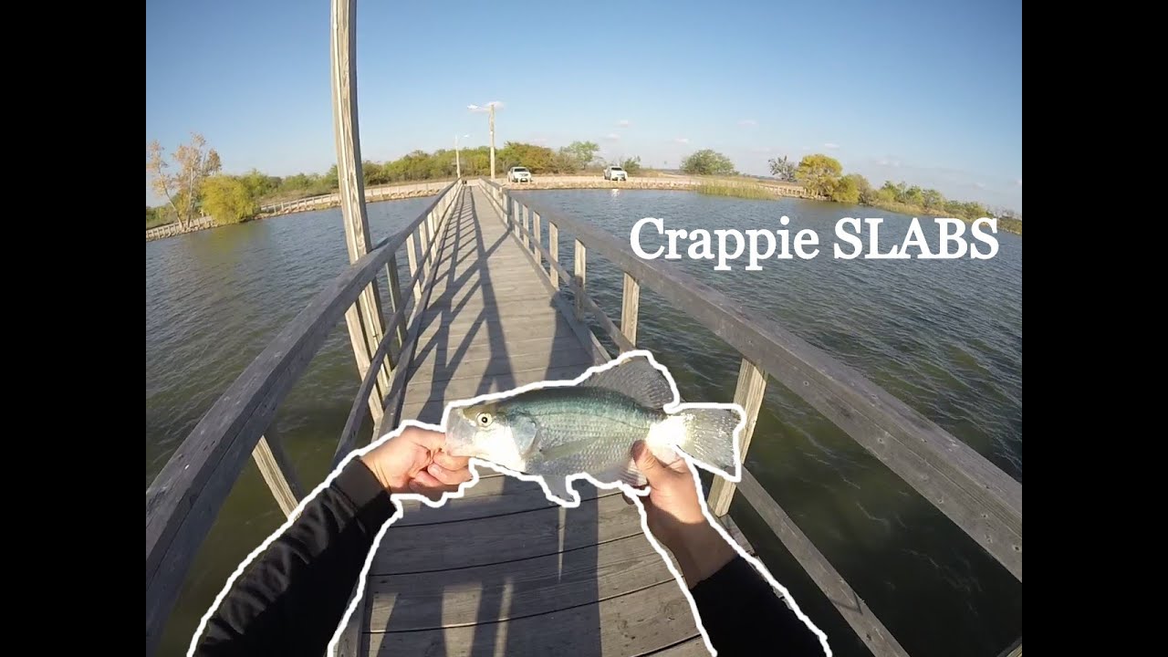 Crappie SLABS off the  Pier 