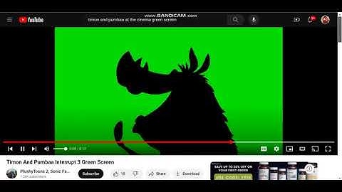 Timon and Pumbaa Interrupt 3 Green Screen
