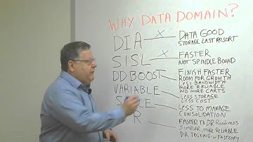 WHY DATA DOMAIN?