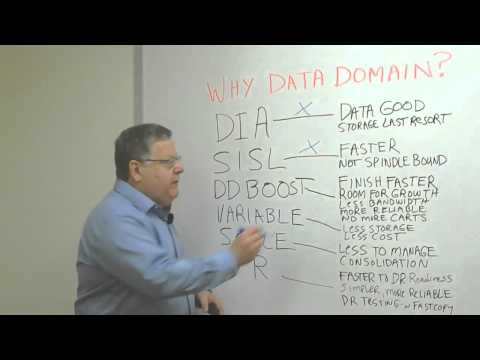 WHY DATA DOMAIN?