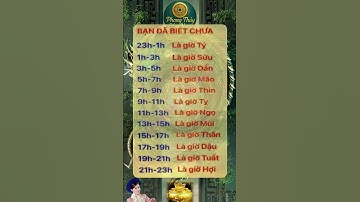 Tử vi phong thủy: Giải mã vận hạn sức khỏe, tài lộc năm 2025 và cách hóa giải hiệu quả.