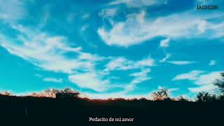 Video thumbnail of "Pedacito de mi amor - Aullagas"