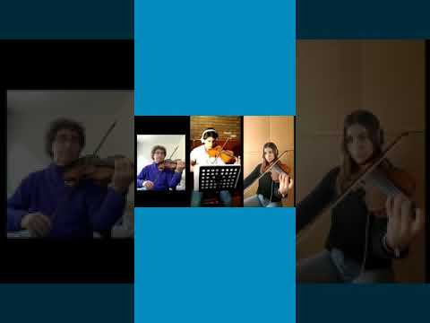 La Orquesta en casa. Camerata. Fila de Violines. Canon en Re.