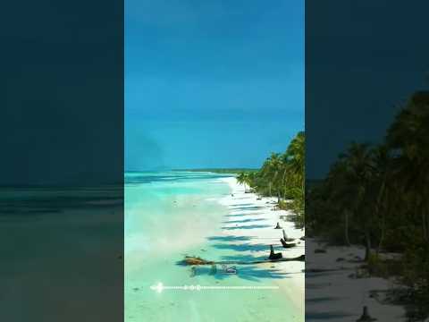 سورة القيامة و كا نك تسمعها لأ و ل مر ة بصوت الشيخ حمزة مدبو ح