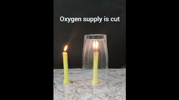 Oxygen is necessary for combustion #oxygen #science #sciencefacts #cbse #combustion