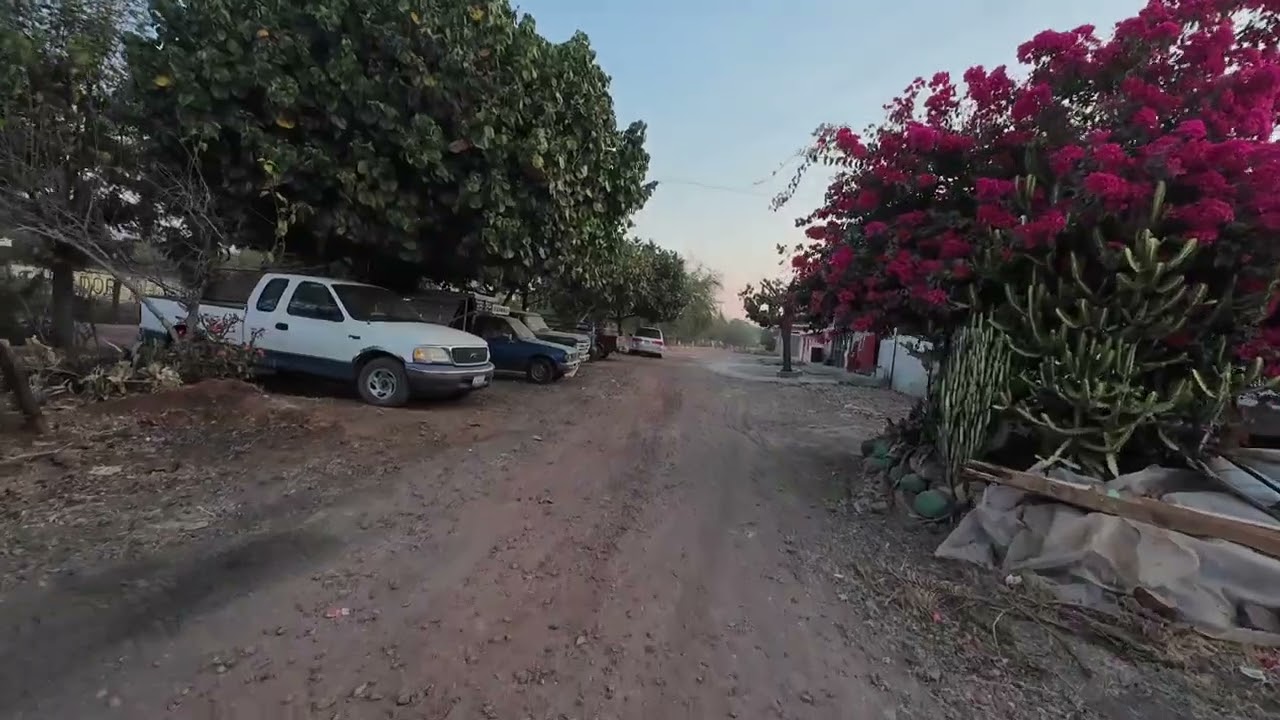 El amanecer de mi #Chavinda #yonacíenchavinda sábado por la mañana 