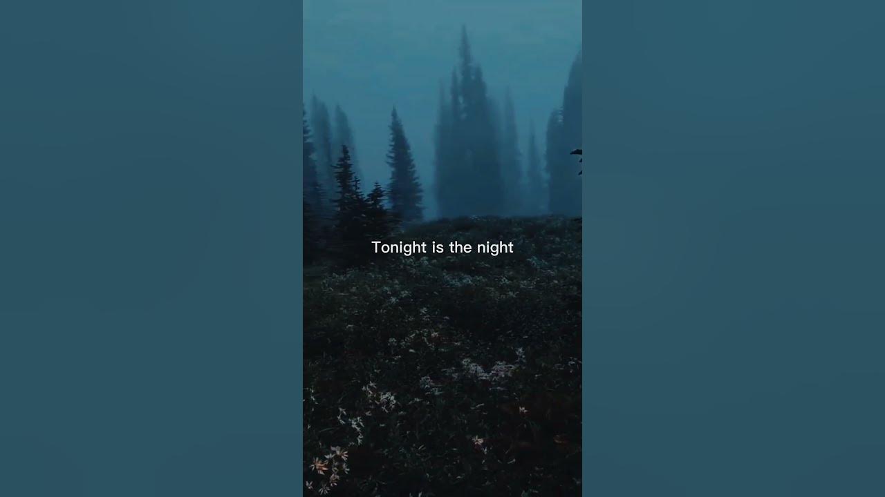 Macklemore & Ryan Lewis - Can't Hold Us(TikTok Remix)(Lyrics)