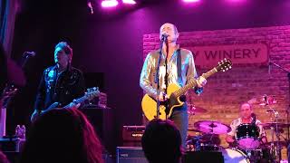 Watch Hoodoo Gurus Crossed Wires video
